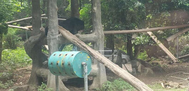 Chi so mountain _ Ta moa zoo_ Bati temple Tour - Why This Tour Offers Value