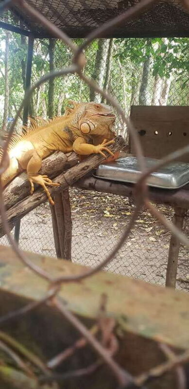 Chi so mountain _ Ta moa zoo_ Bati temple Tour - FAQs