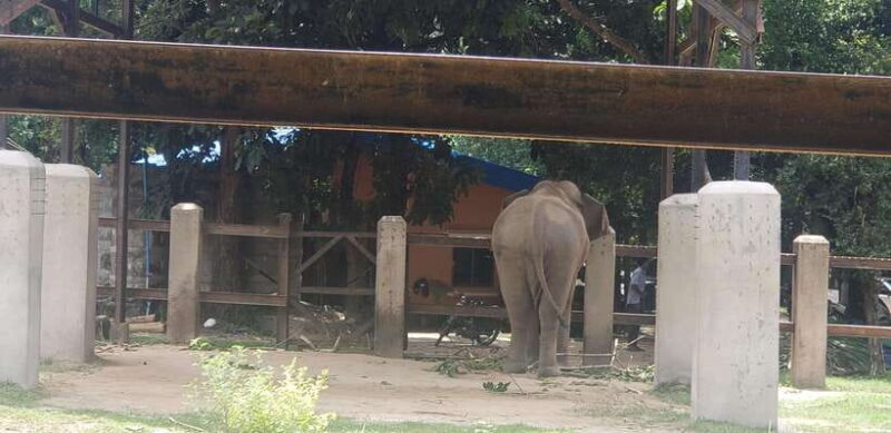 Chi so mountain _ Ta moa zoo_ Bati temple Tour - Final Thoughts