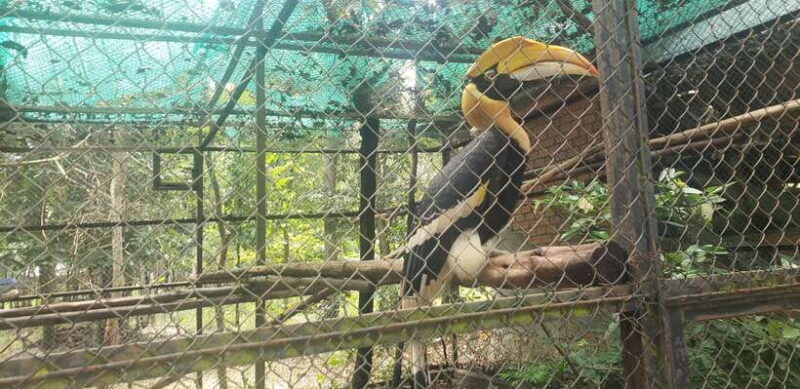 Chi so mountain _ Ta moa zoo_ Bati temple Tour - Exploring the Itinerary: A Day of Discovery