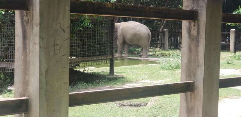 Chi so mountain _ Ta moa zoo_ Bati temple Tour - Practical Details and Value