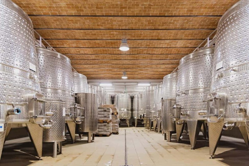 Chianciano Terme: Guided Winery Tour & Wine Tasting - Good To Know