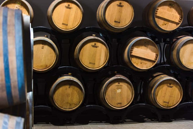 Chianciano Terme: Guided Winery Tour & Wine Tasting - The Experience’s Practical Details