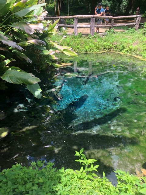Chiang Dao Cave, Sticky Waterfall, Baan Den Temple Private - Booking Details