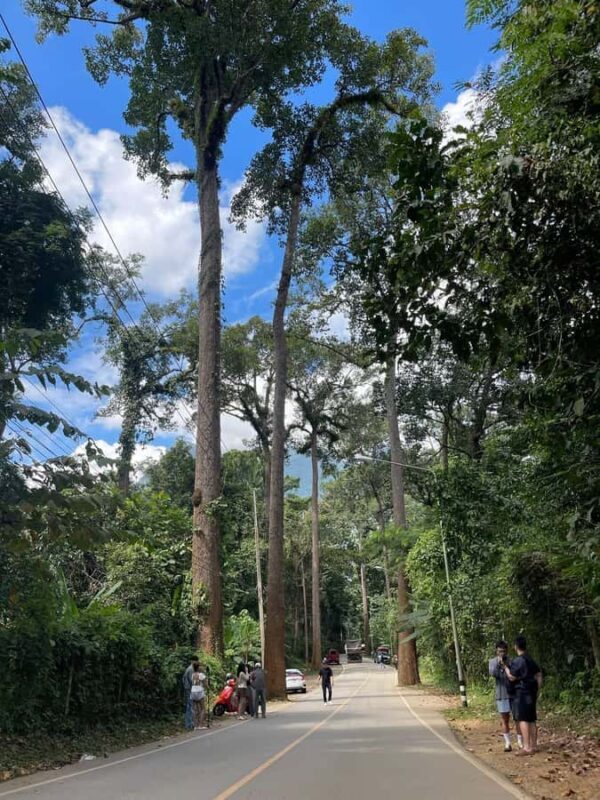 Chiang Dao: Private Day Trip with Guide From Chiang Mai - Who Will Love This Experience?