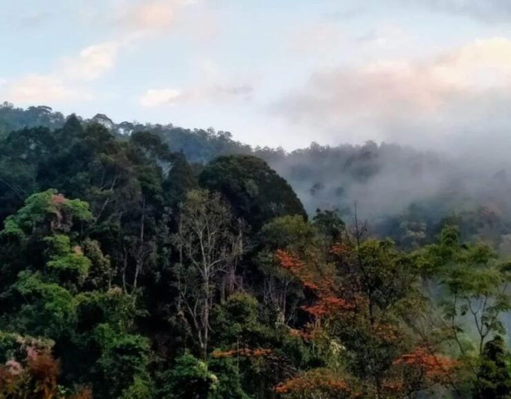 Chiang Dao Trekking & Hidden Village Adventure - Good To Know