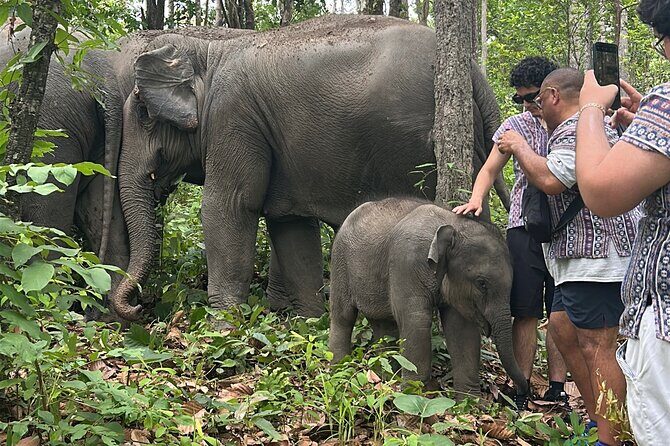Chiang Mai 1 Day: Elephant Sanctuary, Waterfall & Bamboo Rafting - Good To Know