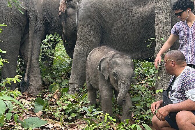 Chiang Mai 1 Day: Elephant Sanctuary, Waterfall & Bamboo Rafting - What’s Included & What’s Not