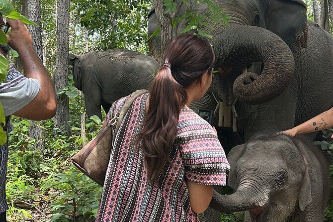 Chiang Mai 1 Day: Elephant Sanctuary, Waterfall & Bamboo Rafting - Real-World Insights from Reviewers