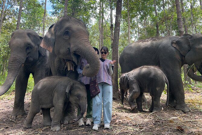 Chiang Mai 1 Day: Elephant Sanctuary, Waterfall & Bamboo Rafting - Who Is This Tour Best For?
