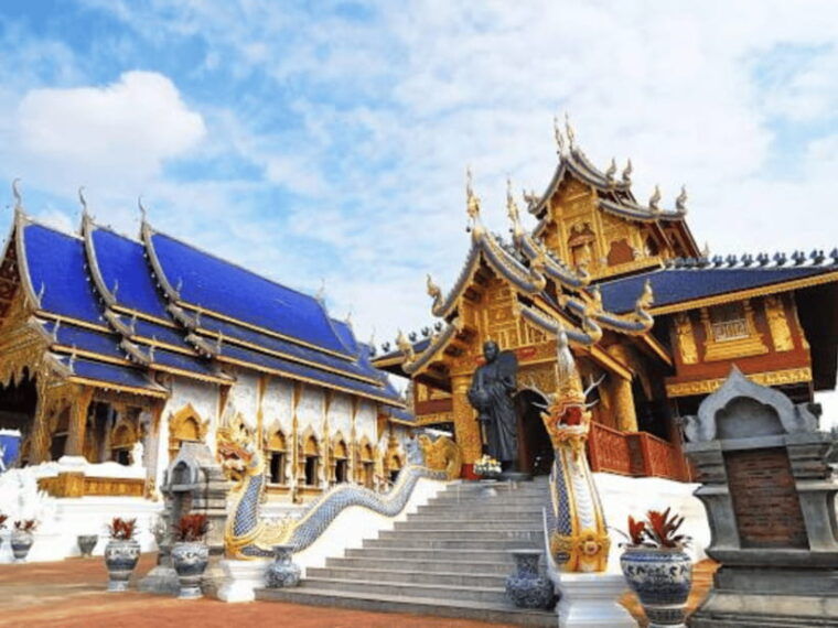 Chiang Mai : 1-Day Trip: Mae Tang & Chiang Dao Cave - Mae Tang Pine Tree Garden