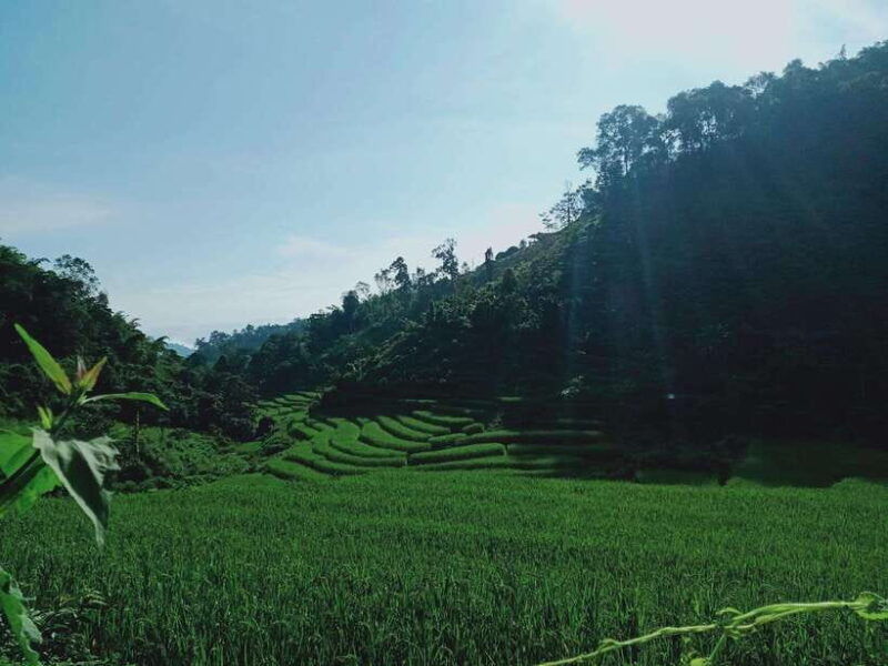 CHIANG MAI: 1DAY TREKKING MAE JOK (PRIVATE) - Pickup and Transportation to Mae Malai Market