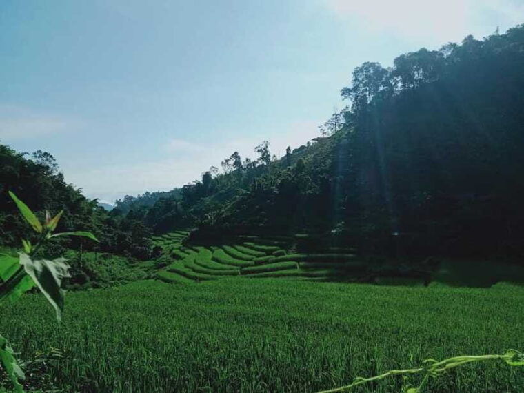CHIANG MAI: 1DAY TREKKING MAE JOK (PRIVATE) - Hiking to the Karen Village (Baan Mae Jok)