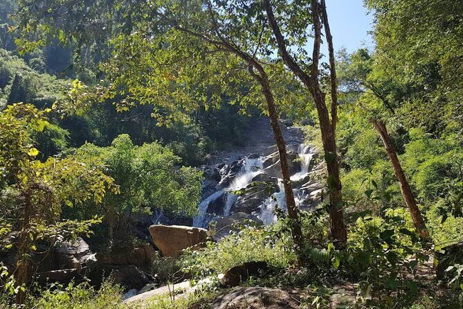 Chiang Mai 2 Day 1 Night Jungle Trekking and Bamboo Rafting - An In-Depth Look at the Tour Experience