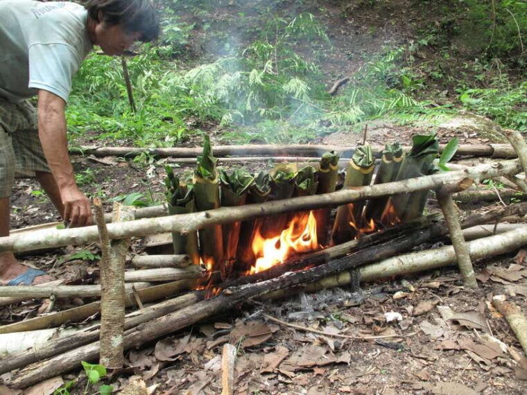 Chiang Mai: 2-Day, 1-Night Non-Touristy Trek - Elephant Care and Feeding