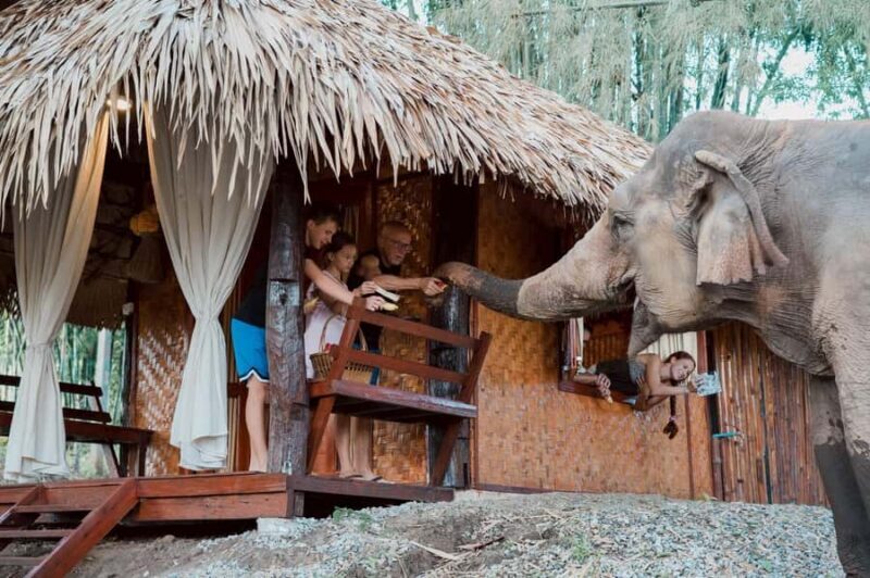 Chiang Mai 2-Day: Good Morning Elephant & Overnight Homestay - Good To Know