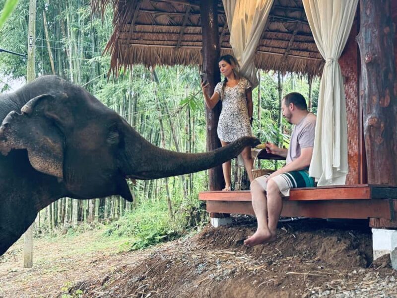 Chiang Mai 2-Day: Good Morning Elephant & Overnight Homestay - An In-Depth Look at This Chiang Mai Adventure