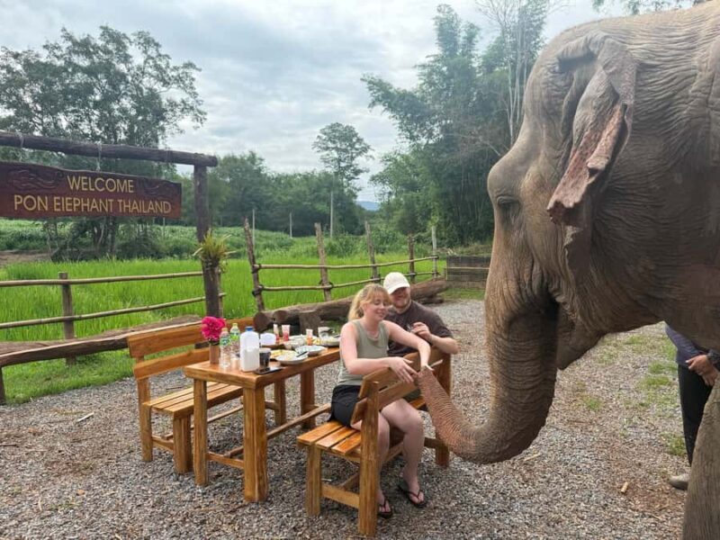 Chiang Mai 2-Day: Good Morning Elephant & Overnight Homestay - Practical Details and Tips