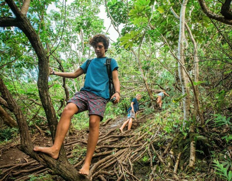 Chiang Mai: 2-Day Hidden Jungle Trek & Local Hill-Tribe Stay - An In-Depth Look at the 2-Day Hidden Jungle Trek