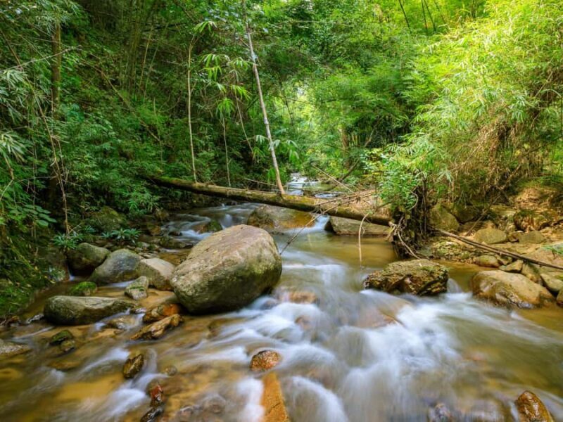 Chiang Mai: 2-Day Hidden Jungle Trek & Local Hill-Tribe Stay - FAQs
