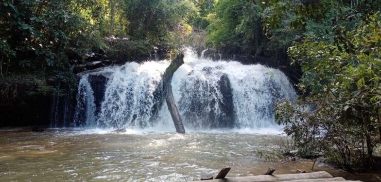 Chiang Mai: 2-Day Jungle Trek With Elephant Farm & Raft Ride - Trekking and Cultural Immersion