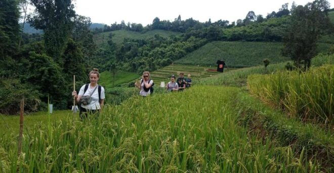 Chiang Mai: 2-Day Jungle Trek With Elephant Farm & Raft Ride - Review and Highlights