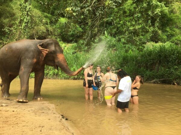 Chiang Mai: 2-Day Jungle Trek With Elephant Farm & Raft Ride - The Sum Up