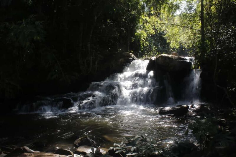 Chiang Mai: 2-Day Reforestation Adventure with Rafting - Closing Thoughts: Who Should Consider This Tour?