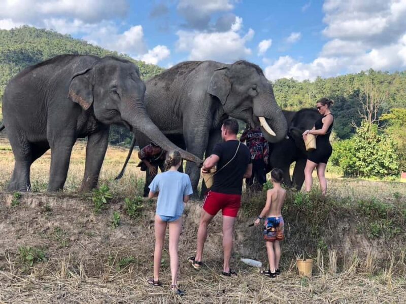 Chiang Mai: 2-Day Tour with Rafting, Elephants, and Waterfall - Authenticity and Review Highlights