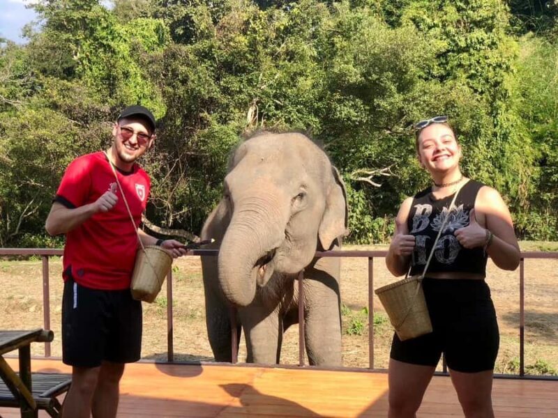 Chiang Mai: 2-Day Tour with Rafting, Elephants, and Waterfall - Final Thoughts