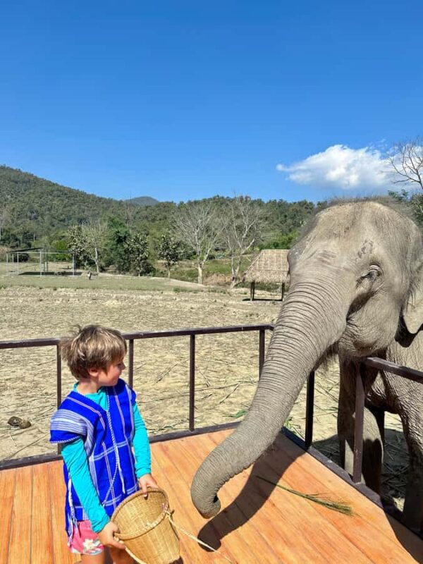 Chiang Mai: 2-Day Tour with Rafting, Elephants, and Waterfall - Authentic Encounters & Responsible Tourism