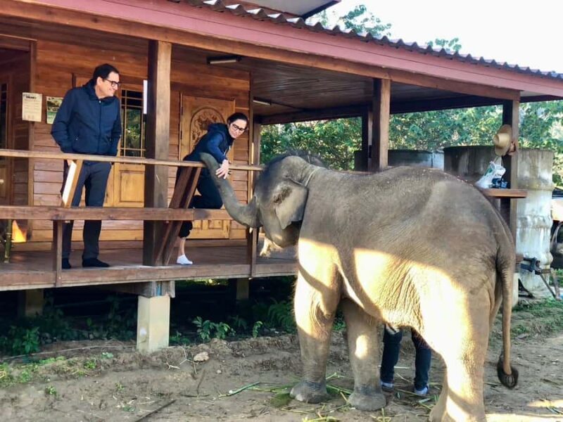 Chiang Mai: 2-Day Tour with Rafting, Elephants, and Waterfall - FAQ