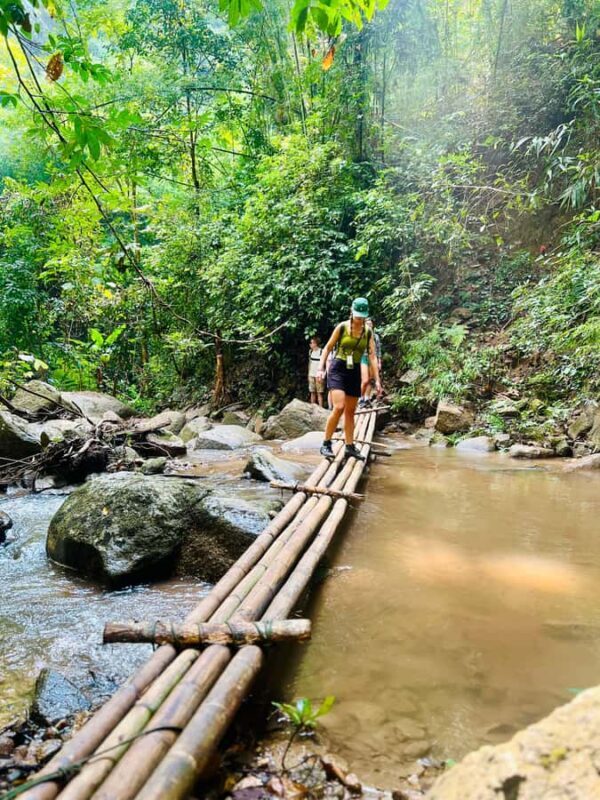 Chiang Mai 2-Day: Trek, Tubing, Waterfall & Elephant Feeding - Final Thoughts