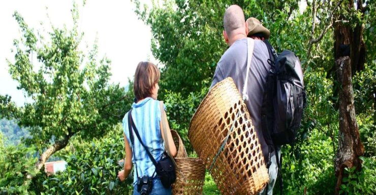 Chiang Mai: 2 Days 1 Night Homestay Community Base Tourism - Activity Details