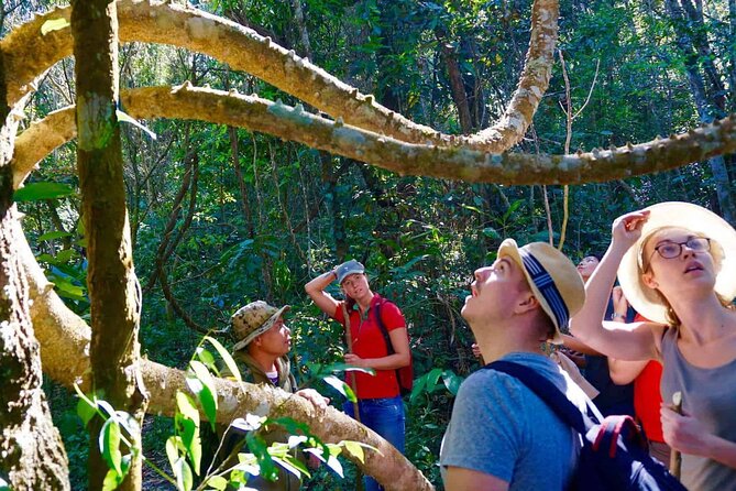 Chiang Mai 2 Days 1 Night Trek Zipline Elephant Sanctuary White Water Rafting - Taking in the Beauty of Nature During a 2-Day, 1-Night Excursion