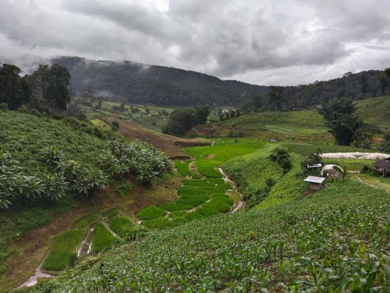 Chiang Mai: 2-Days Chiang Mai Hill tribe Trek - FAQ