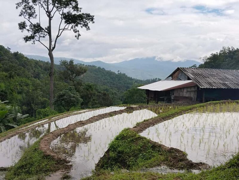 Chiang Mai: 2-Days Chiang Mai Hill tribe Trek - Who Would Love This Experience?