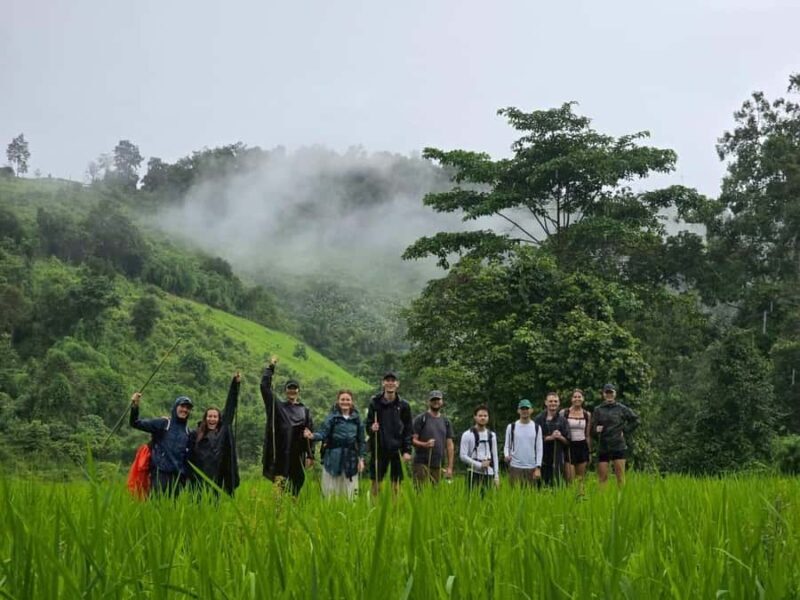 Chiang Mai: 2-Days Jungle Trek, Waterfalls and Karen Village - Review Insights