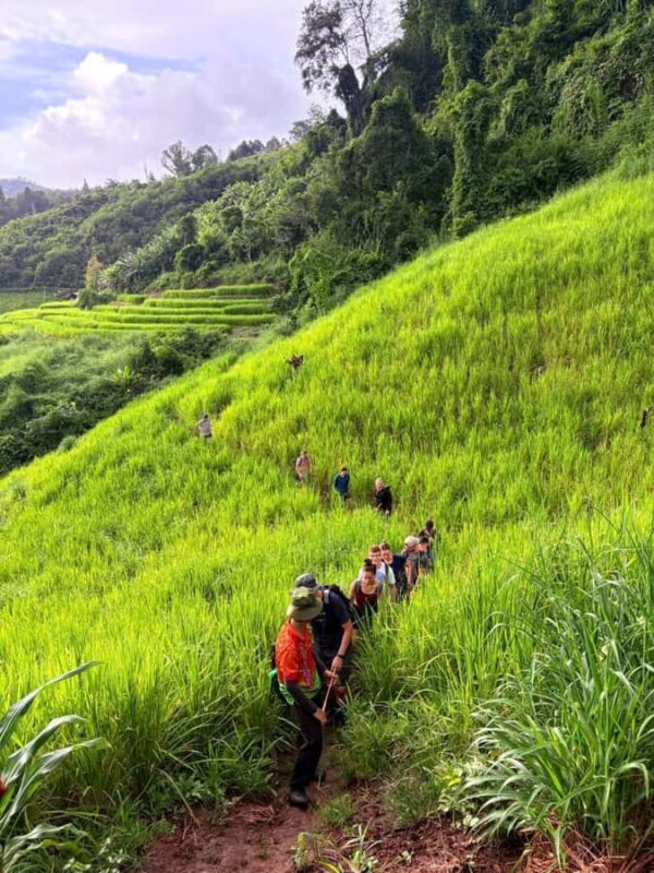 Chiang Mai: 2-Days Jungle Trek, Waterfalls and Karen Village - The Sum Up