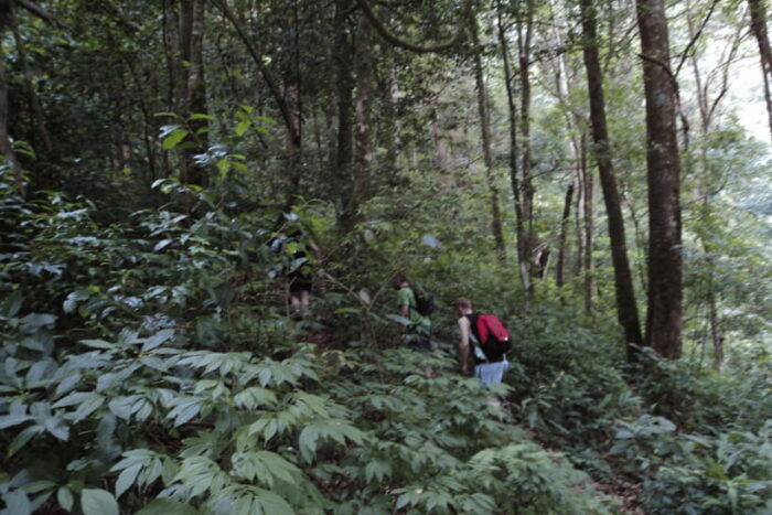 Chiang Mai: 2 Days Trek at Two Seasons Cliff - Booking and Cancellation Policy