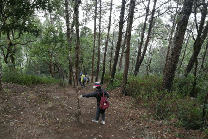 Chiang Mai: 2 Days Trek at Two Seasons Cliff - Frequently Asked Questions