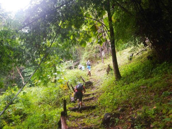 Chiang Mai: 21 Km Dh,Xc Mountain Biking From Takkatan Caves. - Recommended Gear
