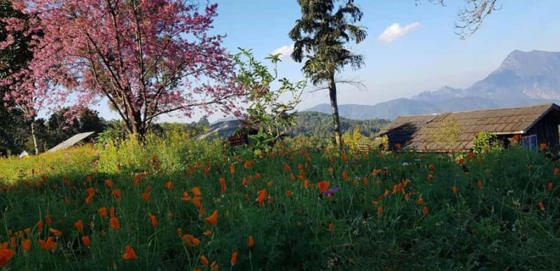 Chiang Mai: 3-Day Chiang Dao Mountains & Local Villages Tour - An In-Depth Review of the Chiang Dao Mountains & Villages Tour