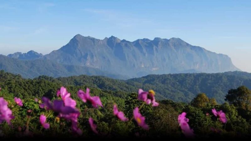 Chiang Mai: 3-Day Chiang Dao Mountains & Local Villages Tour - Good To Know