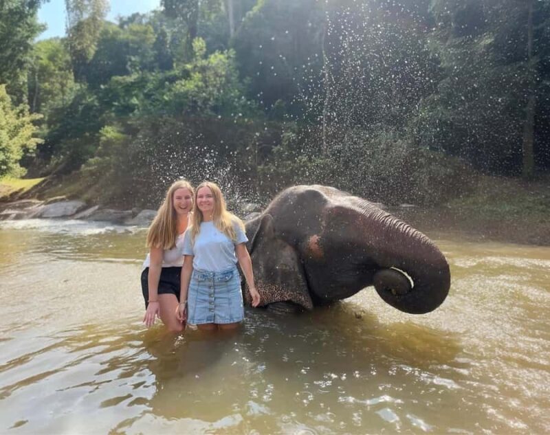 Chiang Mai: 3-Day Elephant Care, Jungle Trek, Bamboo Rafting - An Authentic 3-Day Jungle Adventure in Chiang Mai