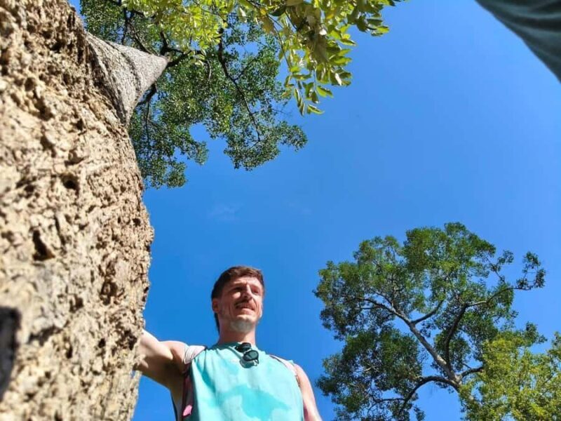 Chiang Mai: 3-Day Elephant Care, Jungle Trek, Bamboo Rafting - Practicalities and Value