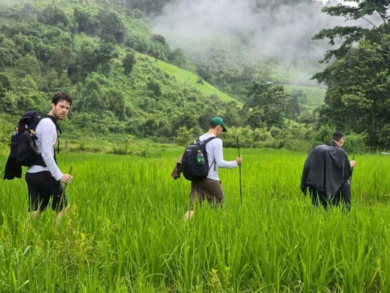 Chiang Mai: 3-Day Jungle Trek with White Karen Local Guide - Authentic Experiences and Hidden Gems