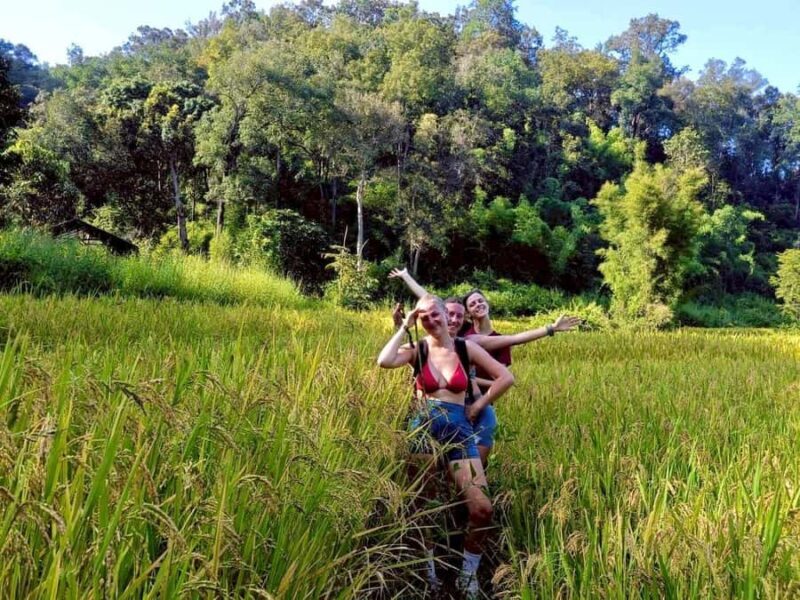 Chiang Mai: 3-Day Jungle Trek with White Karen Local Guide - Good To Know