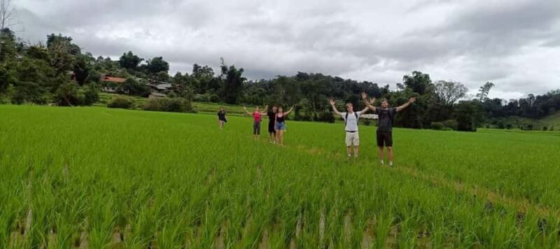 Chiang Mai: 3-Day Jungle Trek with White Karen Local Guide - An In-Depth Look at the 3-Day Jungle Trek