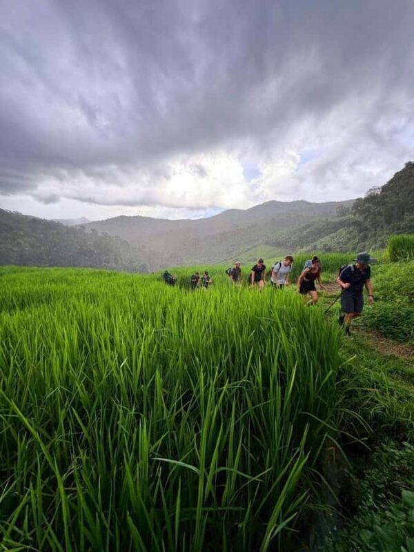 Chiang Mai: 3-Day Jungle Trek with White Karen Local Guide - FAQs